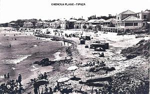 CHENOUA PLAGE TIPAZA